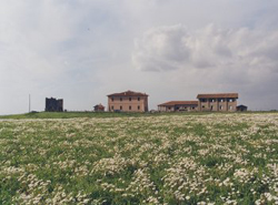 Casale San Benedetto