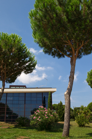 Scorcio del nuovo Santuario