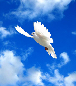 Preghiera allo Spirito Consolatore