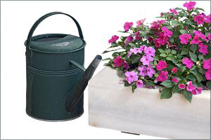 Attività di coltivazione e giardinaggio